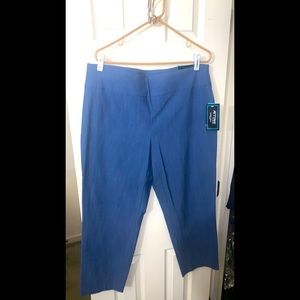 Attyre Audrey Blue Ankle Pants